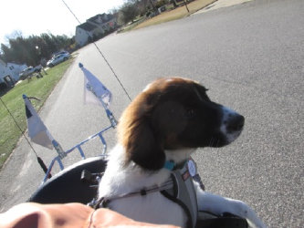 Charlie Mike first ride on his Harley-Davidson