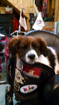 Charlie in the saddle on his Harley-Davidson