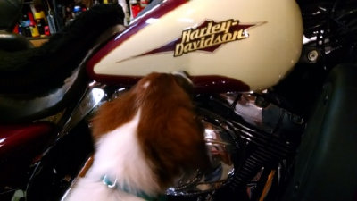Charlie introduced to his Harley-Davidson